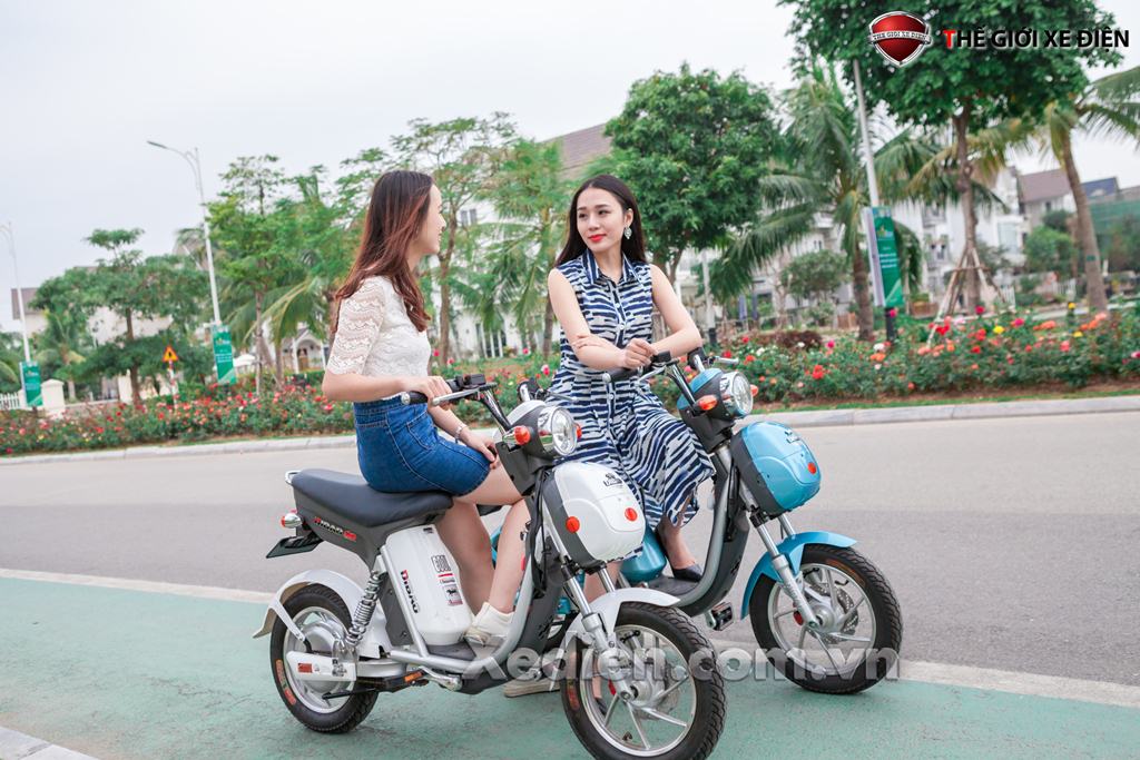 Tư vấn chọn xe đạp điện phù hợp
