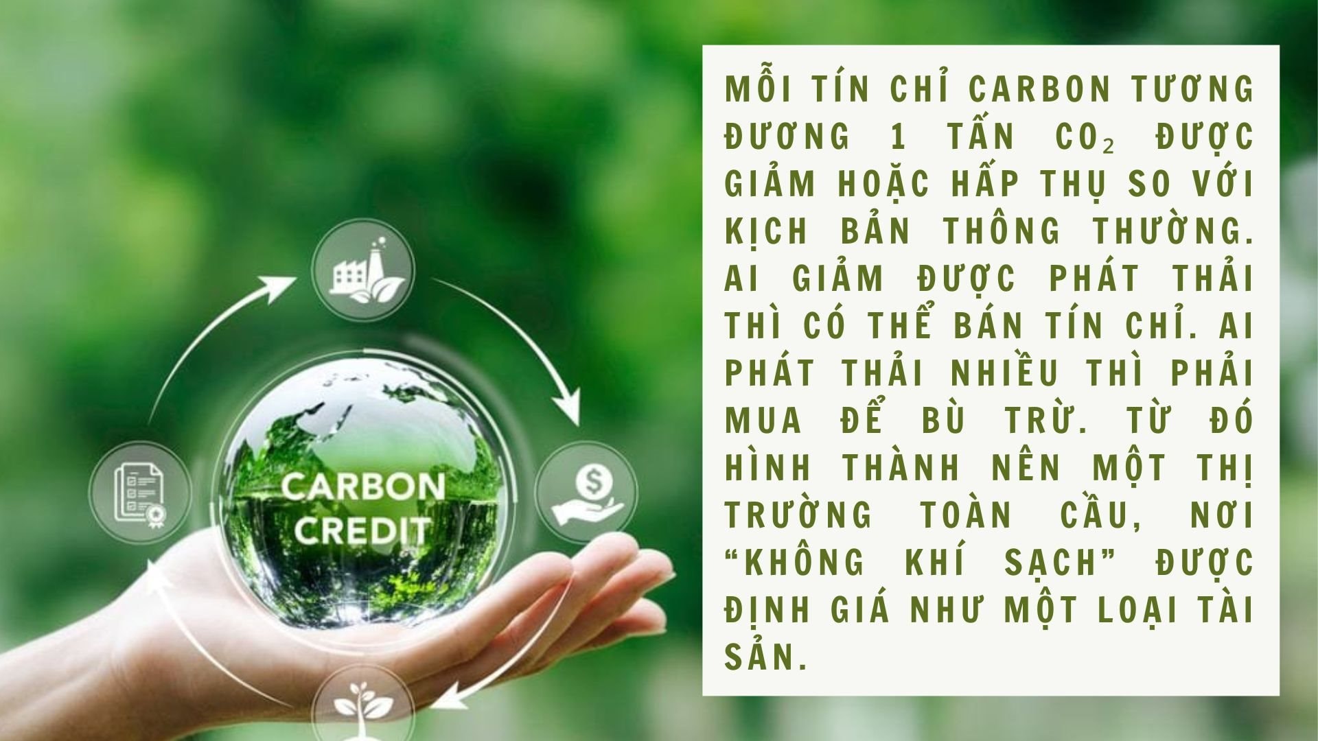 Tín chỉ carbon từ xe điện: Lợi ích kép giúp xây dựng tương lai bền vững