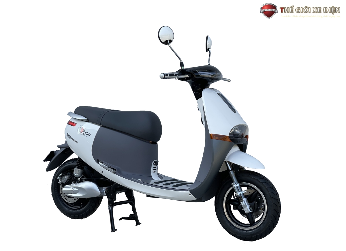Mùa mưa bão, lái xe máy điện Dibao Gogo Cross 2023 sao cho an toàn?